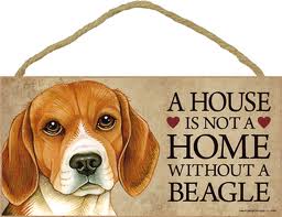 ahousewithoutabeagle